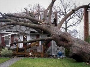 Image for Property Damage Lawyer in Phoenix