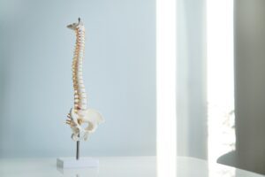 Spinal Cord Injury
